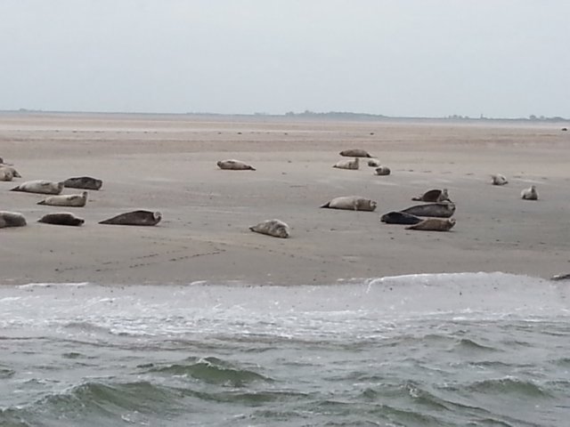 HWK Texel 127.jpg